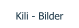 Kili - Bilder