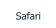 Safari